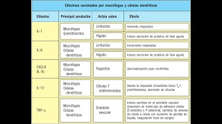 Mediadores solubles de la inflamación y reparación tisular [upl. by Ecidnacal281]