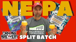 NEIPA Split Batch Grain to Glass  Escarpment Labs [upl. by Markland]