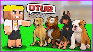 EFEKAN KÖPEK ÇETESİNİ EĞİTİYOR 😂  Minecraft [upl. by Winser]