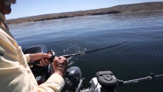 Fishing For Flaming Gorge Reservoir Kokanee amp Rainbows [upl. by Watts]