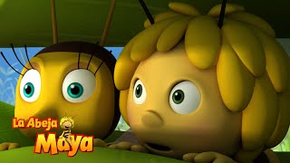 Syrphie La Espía 🕵️‍♀️  Capítulos completos  La Abeja Maya [upl. by Yraillih274]