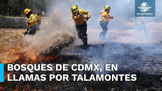 Talamontes ocasionan gran parte de los incendios forestales en CDMX [upl. by Kellina775]