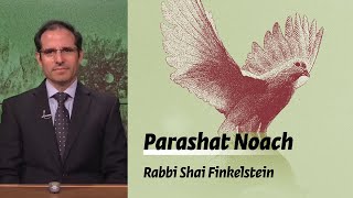 Parashat Noach  Beginnings  Rabbi Shai Finkelstein [upl. by Sissie]