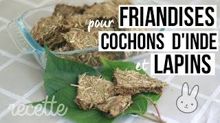 Recette de friandises pour lapins et cochons dinde [upl. by Keraj776]