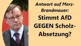 Merz braucht AfDStimmen evtl um Scholz zu stürzen und Kanzler zu werden [upl. by Alit]