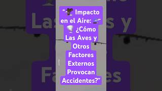 🦅 Impacto en el Aire 🛫🌪️ ¿Cómo Las Aves y Otros Factores Externos Provocan Accidentes [upl. by Craner572]