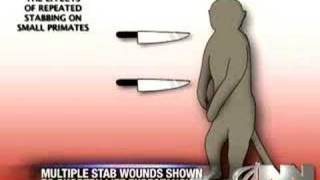 Multiple Stab Wounds May Be Harmful To Monkeys [upl. by Eirrahs]