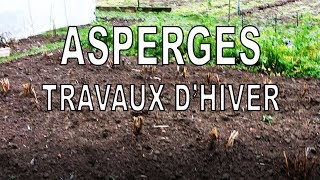 Asperges Les travaux dhiver [upl. by Annola]