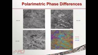 John Wessels  SAR polarimetry for flooded vegetation [upl. by Armillda]