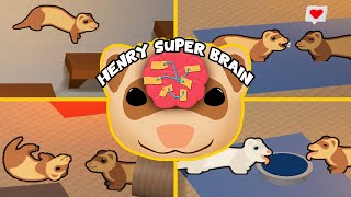 JE SUIS UN FURET  UN FURET DÉBILUS  Henry Super Brain CÉRÉBRAL [upl. by Aniretak143]