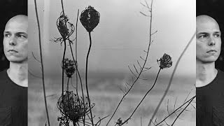 Recondite  Placid Full Album [upl. by Niwrehs]