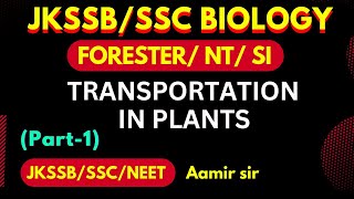 Natures Superhighway Transportation in Plants JKSSB Supervisor science  JKSSB Forester biology [upl. by Delfeena]