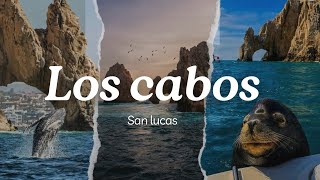 Los cabos San lucas Vlog [upl. by Nehtanhoj]