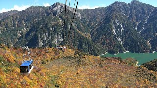 富山｜TOYAMA AUTUMN MOVIE 4K [upl. by Odravde401]