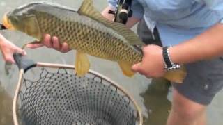 Field amp Streams Hook Shots Season 2 Ep 6 Montana Carp [upl. by Joseito]