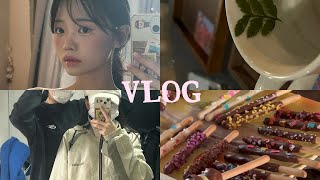 VLOG 호주로 떠나는 친구 배웅 보기 드문 T의눈물💧 조금 늦은 빼빼로 만들기 [upl. by Dalohcin285]