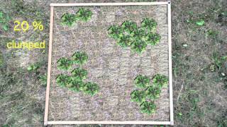 Estimation of plant cover in quadrats [upl. by Aynotan473]