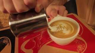 Latte Art Lesson 1  Introduction To Latte Art [upl. by Janean416]