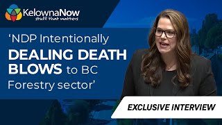 NDP intentionally dealing death blows to BC forestry sector Kelowna MLA says [upl. by Haleemaj449]