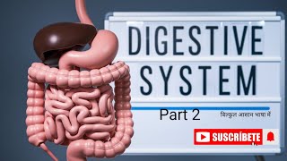 The Incredible Science of Your Digestive System Part 2 [upl. by Akehsyt]