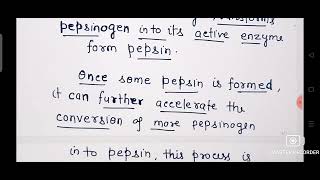 How Pepsinogen is Converted in to pepsin Ch16 Digestion CLASS 11 BIOLOGY [upl. by Minnaminnie]