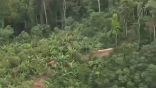 North Sentinel Island drone view India [upl. by Baun778]