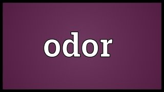 Odor Meaning [upl. by Thilde]