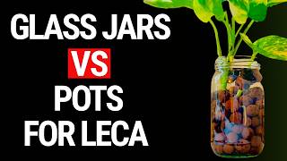 Glass Jars Vs Pots For Plants in Leca Which Works Best [upl. by Conlin318]