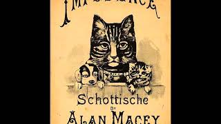 ALAN MACEY Impudence  schottische [upl. by Weikert]