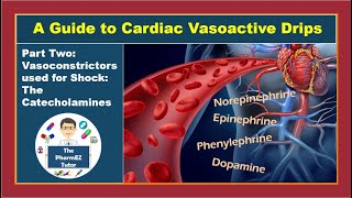 Guide to Cardiac Vasoactive Drips Part 2 Vasoconstrictors used for shock The Catecholamines [upl. by Shirlie]