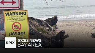 Bolinas Beach partly closed after human waste found seeping from coastal bluff [upl. by Cullan]