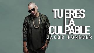 Jacob Forever  Tu Eres La Culpable Oficial Audio [upl. by Gothurd]