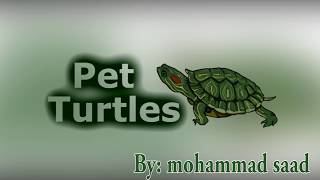 red eared slider turtle pet documentary\فلم و ثائقي عن السلحفاة الامريكيه الحمراء المتزحىلقه [upl. by Ahsimit512]