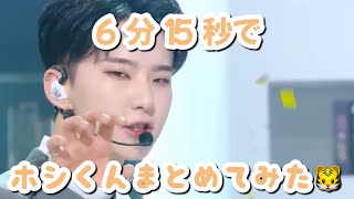 【seventeen】ホシくんを６分１５秒でまとめてみた🐯 [upl. by Heyra]