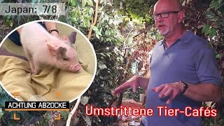 Abzocke und alles andere als TIERFREUNDLICH 😥 Japanische TierCafés  Achtung Abzocke [upl. by Wilone]