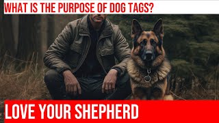 Teaching Your German Shepherd to Wear Their Dog Tag [upl. by Ignacius]