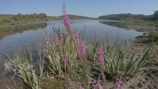 Jezero Slanac odoljeva vrućini [upl. by Calvinna]