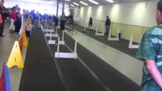 Flyball Demonstration at the Southern Maryland Kennel Club [upl. by Trelu311]