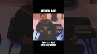 Andrew Bird quotPulaski At Nightquot 2013 acoustic instrumental cover [upl. by Malim]