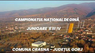 Campionatul national de Oină Junioare II III și IV Comuna Crasna Județul Gorj [upl. by Auqined]