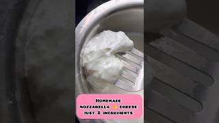 Mozzarella cheese 🧀 making just 2 ingredients cheese manamwithsathya ytshort [upl. by Ahsekam]