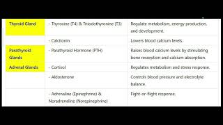 ENDOCRINE GLANDS AND THEIR HORMONES  ENDOCRINE SYSTEM [upl. by Aiker435]