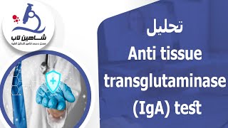 Anti tissue transglutaminase IgA test تحليل [upl. by Mackenzie]