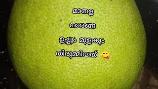 മാതള നാരങ്ങ ഉപ്പും മുളകും തിരുമ്മിയത് 😋mathala naranga [upl. by Rodi629]