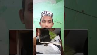 Makdi aaina reaction 🥰🕋shortvideo [upl. by Halsy]