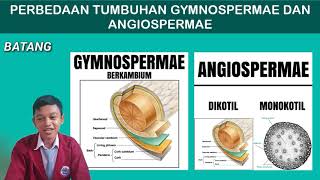 Perbedaan tumbuhan gymnospermae dan angiospermae [upl. by Iny321]