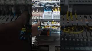 Mpcb connection power wiring starer connection with plc wiring kaise kare how to plc conne pcwire [upl. by Darby32]