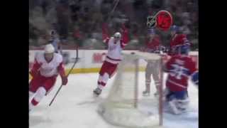 Pavel Datsyuk Goals 20072008 [upl. by Karas]