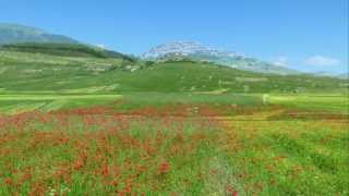 CASTELLUCCIO DI NORCIA  La FIORITURA del giugno 13  Full HD [upl. by Einnov]