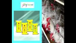 godrej poultry feed av [upl. by Nittirb]